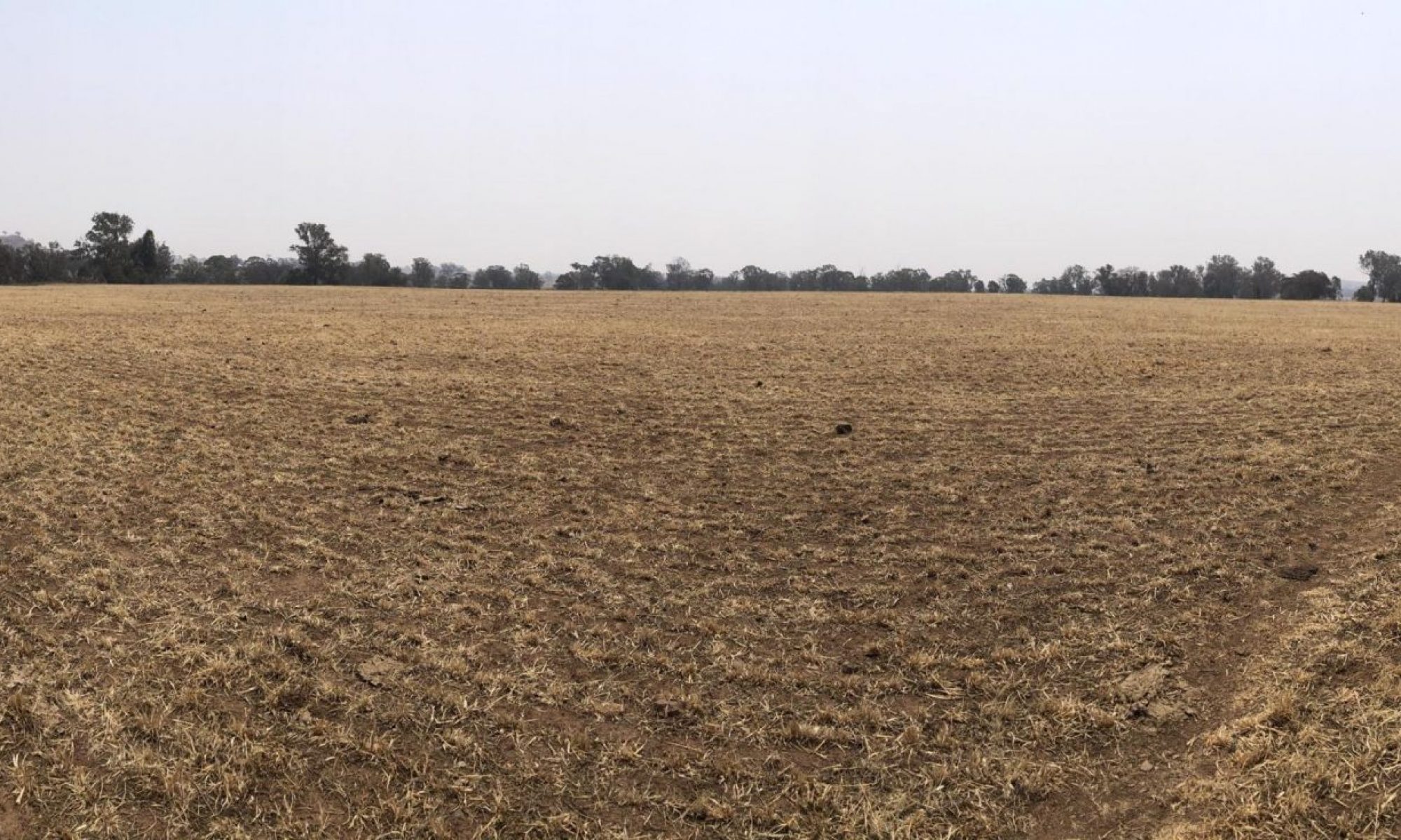 Middlebrook Solar Farm